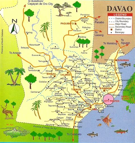 davao local government casino distance rules and regulation - davao city orig PDF.